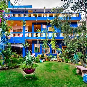  Accommodatie bij particulieren The Coral Tree Boutique